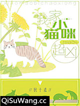我家小猫咪超凶！[穿书]小说
