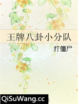 王牌八卦小分队小说