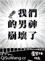 我们的男神崩坏了小说