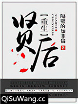 重生之贤后小说