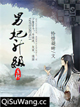 男妃升级系统小说