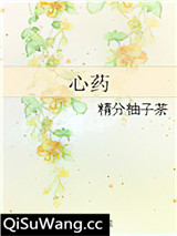 心药小说