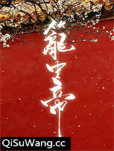 锁帝翎（笼中帝）小说