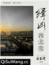 缉凶西北荒小说