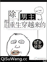 除了男主都是重生穿越来的小说