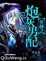 穿越之炮灰男配小说