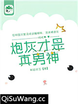 炮灰才是真男神小说
