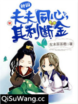 夫夫同心，其利断金小说