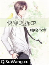 快穿之拆CP小说