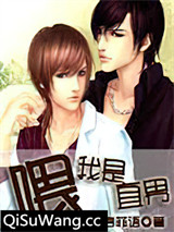 我是直男啊喂小说