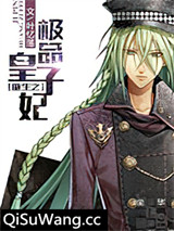 重生之极品皇子妃小说