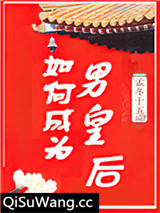 如何成为男皇后小说