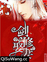 剑修娶“妻”小说