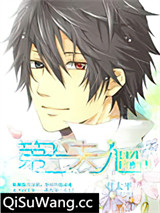 第一夫人（耽美）小说