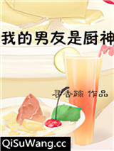 我的男友是厨神小说