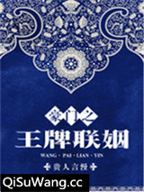 豪门之王牌联姻小说