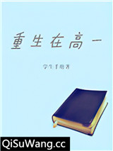 重生在高一小说