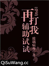 再打我辅助试试？小说