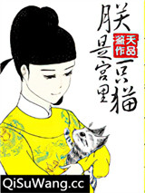 朕是宫里一只喵小说