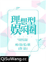 理想型娱乐圈小说