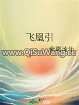 飞凰引小说