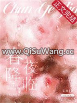 春夜降临小说