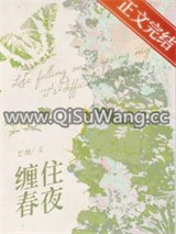 缠住春夜小说