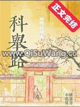 贫家子的科举路小说