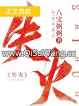 失火小说