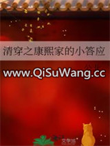 清穿之康熙家的小答应小说