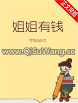 姐姐有钱小说