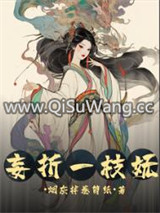 妄折一枝妩小说