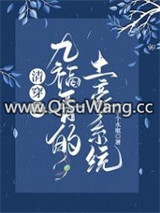 清穿之九福晋的土豪系统小说