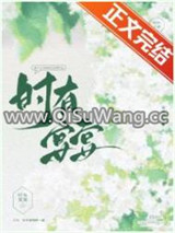 时有宴宴小说