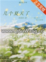 几个夏天了小说
