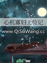 心机寡妇上位记小说