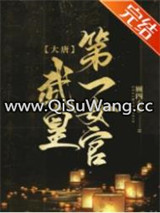 [大唐]武皇第一女官小说