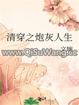 清穿之炮灰人生小说