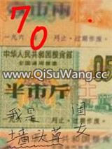 我是墙头草的闺女[七零]小说