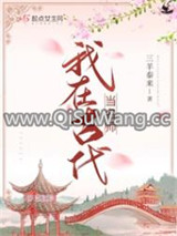 我在古代当名师小说