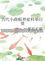 古代小商贩养家科举日常小说