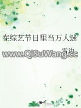 在综艺节目里当万人迷小说