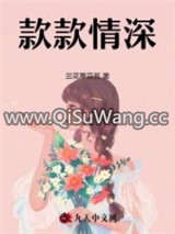 款款情深小说