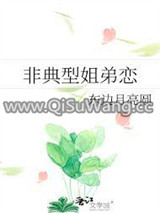 非典型姐弟恋小说
