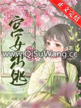 宫女出逃以后小说