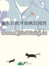 重生后我开始疯狂囤货小说