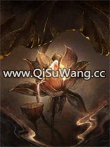 穿成魔教妖女后我摆烂了小说