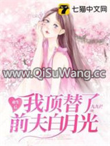 重生后我顶替了前夫白月光小说