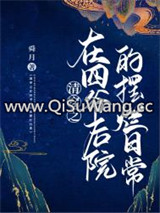 清穿之在四爷后院的摆烂日常小说