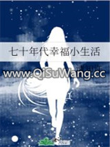 七十年代幸福小生活小说